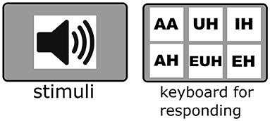 Phonemes in continuous speech are better recognized in context than in isolation